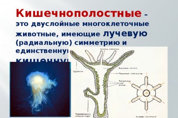 Кракен купить наркоту