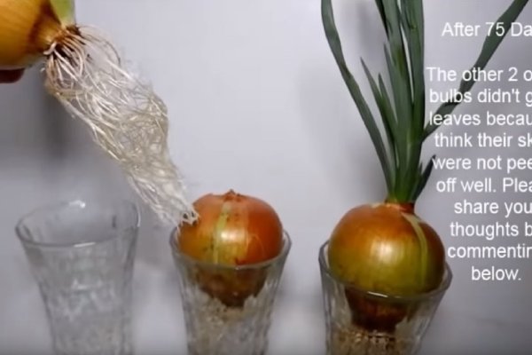 Кракен маркет плей