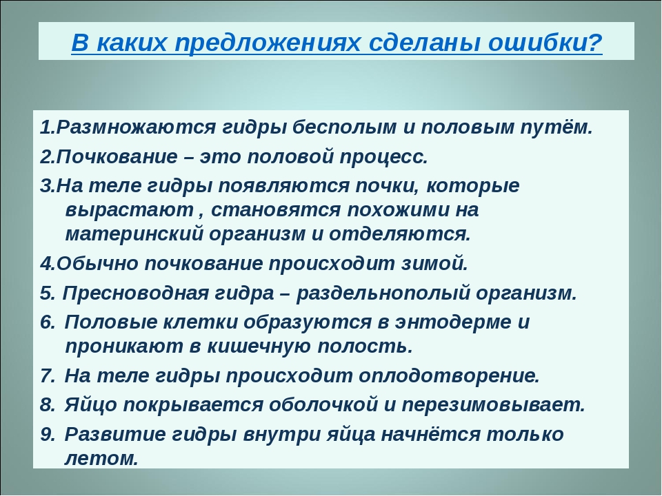 Даркнет зеркало